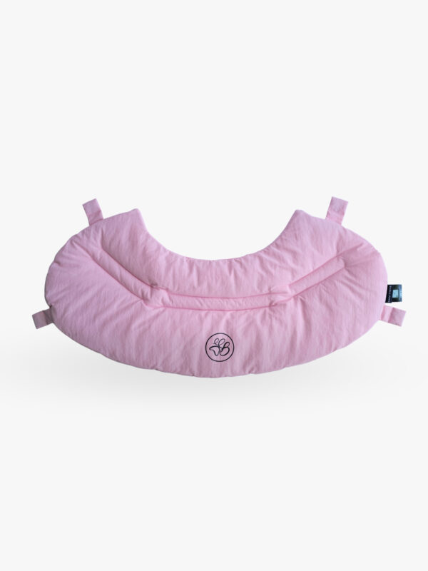 Bubuu Paws Pawrest Basket Front Cover ผ้าคลุมด้านหน้ารถเข็นสัตว์เลี้ยง รุ่น Roamy สีชมพู