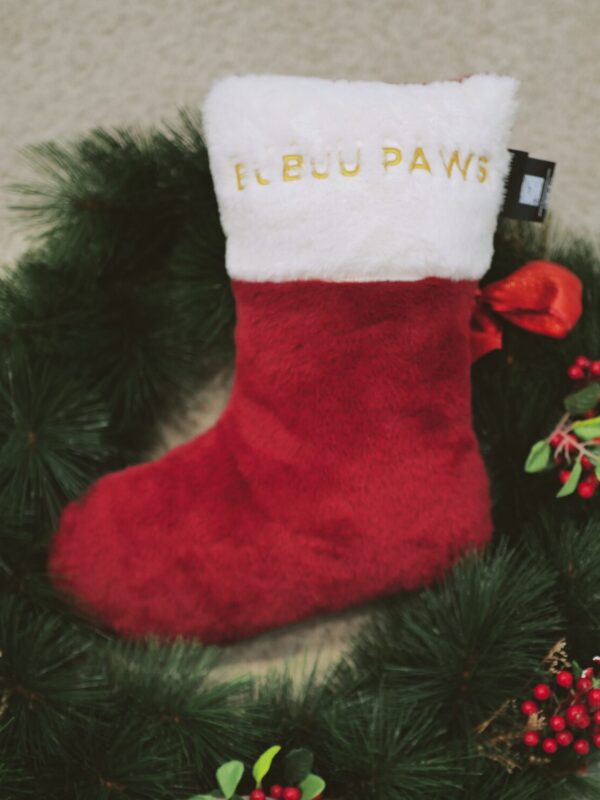 BUBUU PAWS X'mas Sock Pillow บูบู้ พอส์ หมอนหนุนสัตว์เลี้ยง รูปถุงเท้าคริสต์มาส