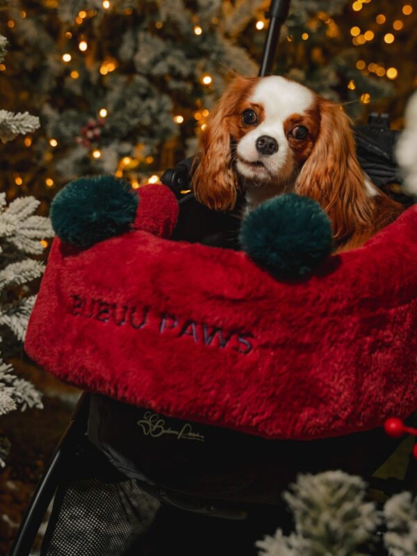 Bubuu Paws X'Mas Pawrest Basket Front Cover ผ้าคลุมด้านหน้ารถเข็นสัตว์เลี้ยง X'Mas Collection สีแดง Red Wine