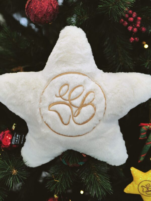 BUBUU PAWS X'mas Star Pillow บูบู้ พอส์ หมอนหนุนสัตว์เลี้ยง รูปดาว คริสต์มาส