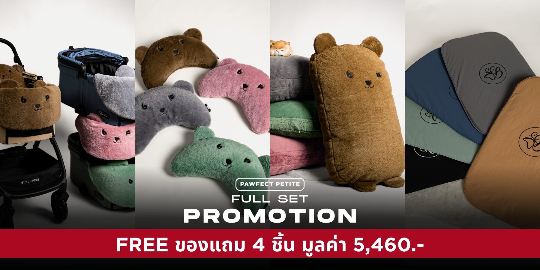 Accessories Promotion