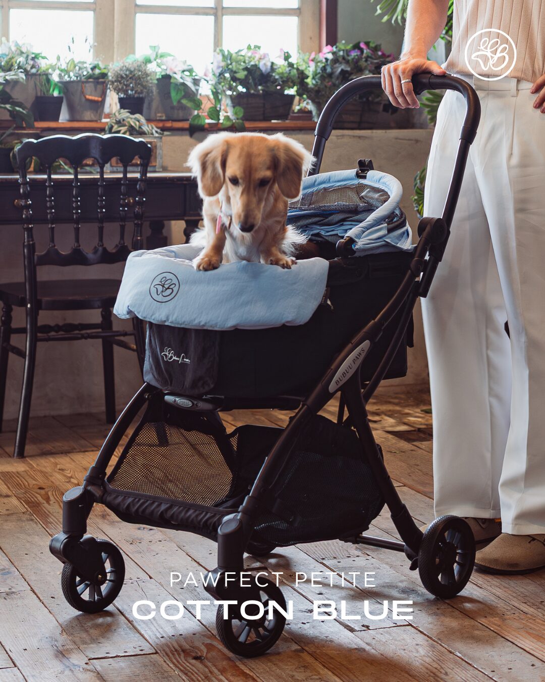 Small Pet Stroller - Blue