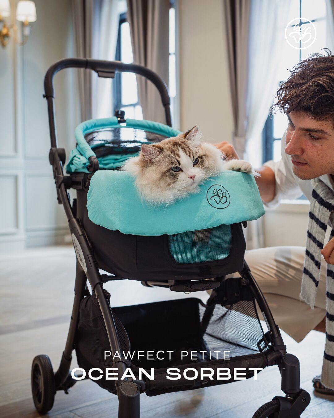Small Pet Stroller - Ocean