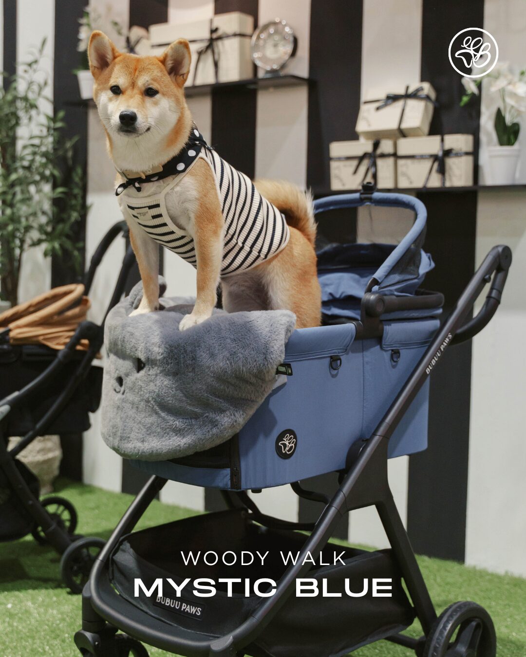 Woody Walk - Mystic BLue